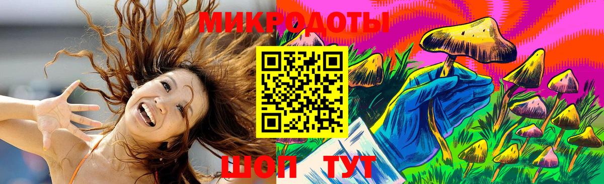 Псилоцибиновые грибы Psilocybine cubensis Губаха