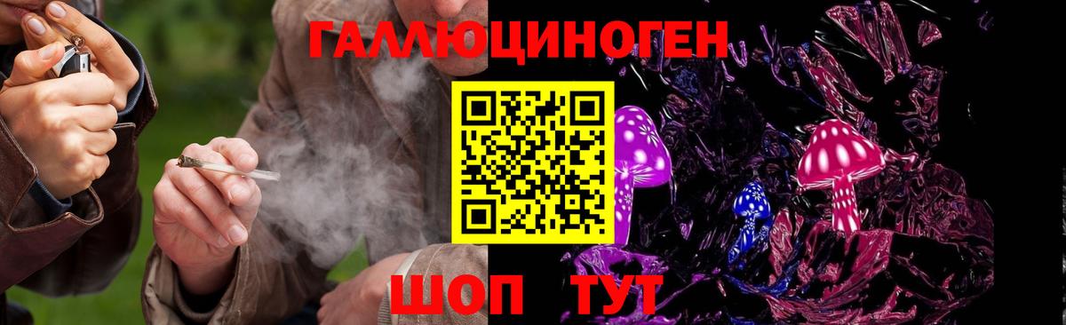 Губаха  Псилоцибиновые грибы мухоморы  Галлюциногенные грибы прущие грибы  Вход с VPN 