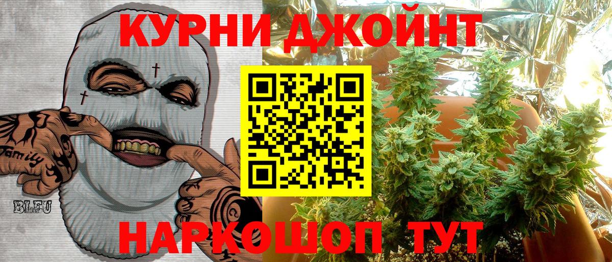 Губаха  Канабис сатива  Вход с VPN  Бошки Шишки планчик 